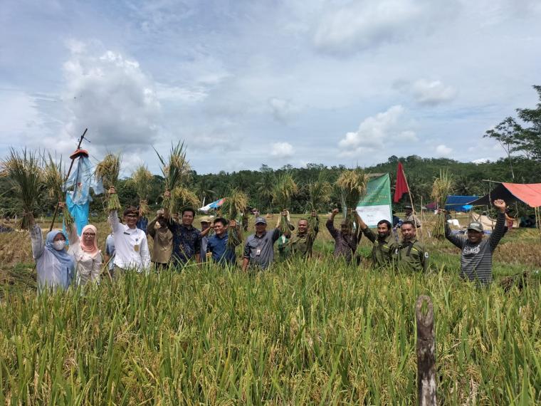 Panen Raya Kelompok Tani Sugih Mukti di Desa Bayah Timur, Kabupaten Lebak. (Foto: TitikNOL)