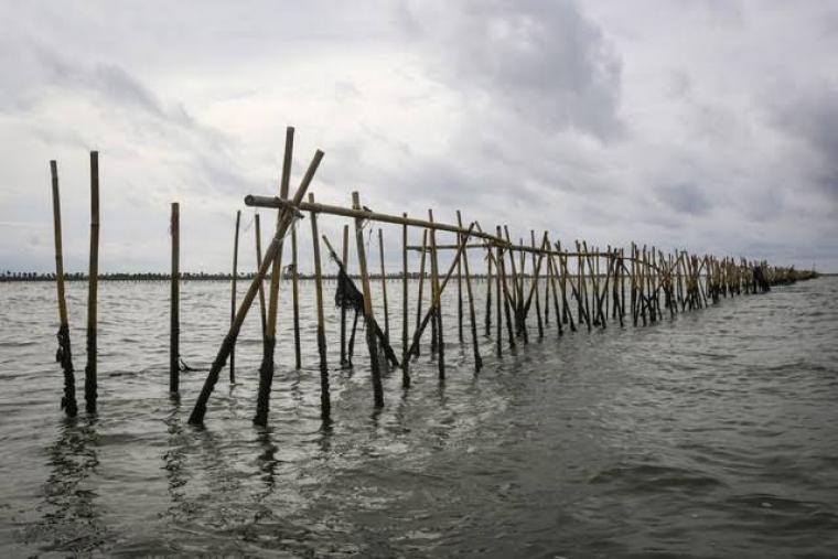 Pagar laut di wilayah utara Tangerang. (Dok: Kumparan)