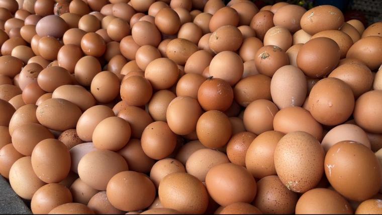 Penjual Telur di Pasar Induk Rau Kota Serang. (Foto: TitikNOL)