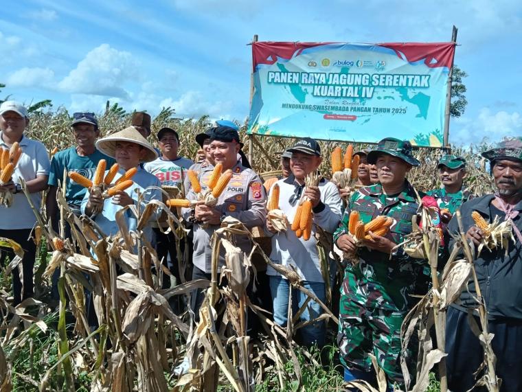 Kapolres Serang AKBP Condro saat panen jagung